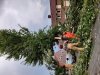 20200813_203034.jpg