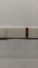 13920383-A543-4269-A4EE-C3D09762EAE4.png