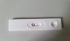 20200816_101526.jpg