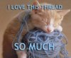 i.love.this.thread.so.much.jpg