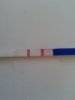 20130326_094548.jpg