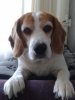 2011-06-22 20.15.40.jpg