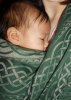 DSCN0651a.jpg