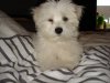 DSC01835.jpg