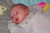 DSC05132.jpg