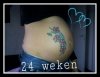 24 weken.jpg