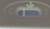 test.JPG