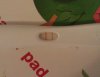 IMAG0455.jpg