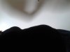 2013-04-04 12.22.09.jpg