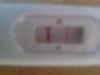 IMAG0105.jpg
