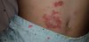 20200819_083323.jpg