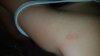 20200819_230632.jpg