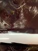 B490D22C-DF0B-4409-935E-08AC54F81E88.jpeg
