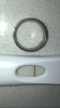 53BC4D71-0790-4BE5-8259-F4C5F7E96388.png