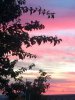 59C0DF1C-0E54-484C-A551-88E719BE27BF.jpeg