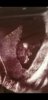 Screenshot_20200824-121835_Gallery.jpg