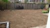 IMG-20200827-WA0004.jpeg