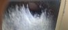 IMG-20200828-WA0003.jpeg