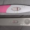 547FA8EC-6D34-4702-B970-4992AD588BF7.jpeg