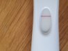 20200831_102823.jpg