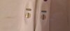 20200903_070055.jpg