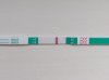 20200904_172426.jpg