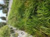 20200905_142431.jpg