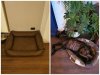 Collage_20200905_232735.jpg
