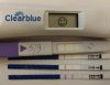 IMG_3204.JPEG