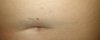 20200907_172549.jpg