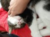 IMG_20200907_160233842.jpg
