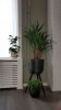 IMG-20200911-WA0000.jpg