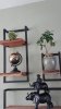 IMG-20200911-WA0011.jpg