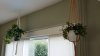 IMG-20200911-WA0001.jpg