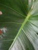 IMG_20200914_124845.jpg