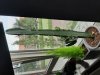 20200916_153414.jpg