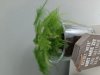 20200916_153331.jpg