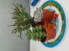 20200916_153314.jpg