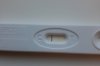 20200918_095218.jpg