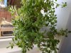 20200919_103247.jpg