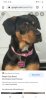 Screenshot_20200921-154649_Chrome.jpg