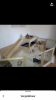 23EAB149-A475-4C01-8D89-D7D06B715101.png