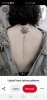 Screenshot_20200919-180341_Pinterest.jpg