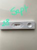 CADD78B6-60CF-49A3-B122-87FB7FA035E3.jpeg