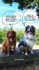 FB_IMG_1601414874150.jpg
