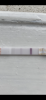 539F9ACF-2CDC-4832-8704-0CE8BF53D129.png