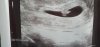 20201001_185805.jpg