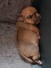 20201003_185629.jpg