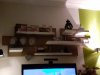 20201003_214405.jpg