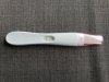 20201003_103421.jpg